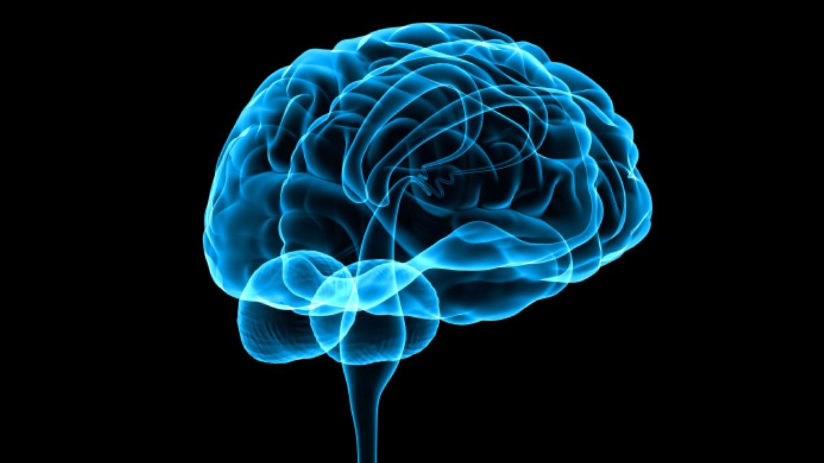 Sleep helps the brain to preserve memories